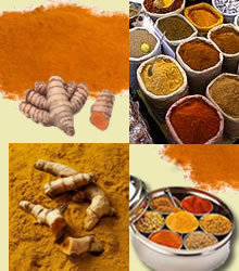 Turmeric Spice